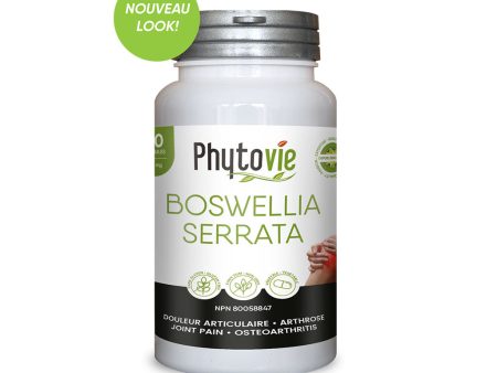 Boswellia Serrata For Discount