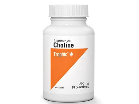 Bitartrate de Choline Sale