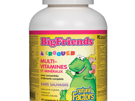 Big Friends Multivitamines & Minéraux à Croquer For Sale