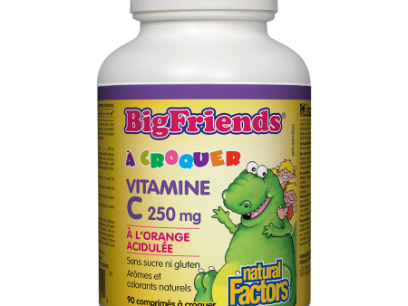 Big Friends Vitamine C Cheap