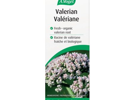 Valériane Biologique Hot on Sale