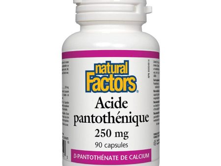 Acide Pantothénique Sale