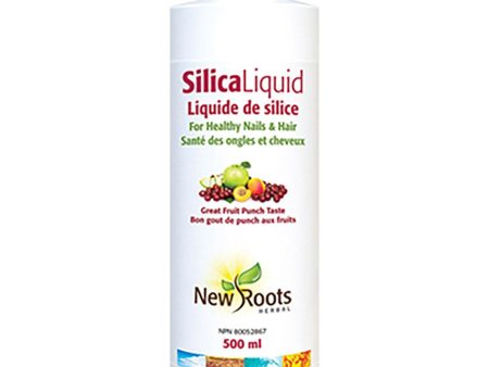 Liquide de Silice Discount