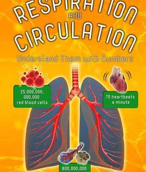 Melanie Waldron: Your Respiration and Circulation [2015] paperback Supply