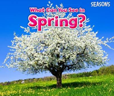 Sian Smith: What Can You See In Spring? [2015] paperback Supply